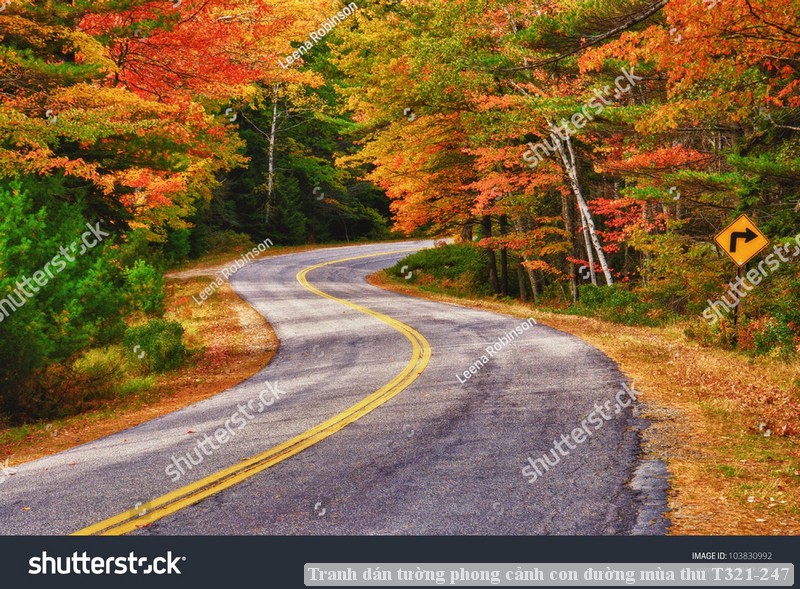 Tranh dán tường phong cảnh con đường mùa thu T321-247